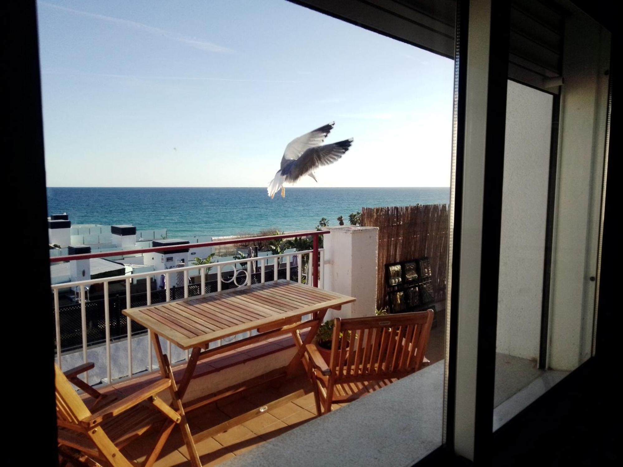 Terraza Al Mar Διαμέρισμα Pineda de Mar Εξωτερικό φωτογραφία